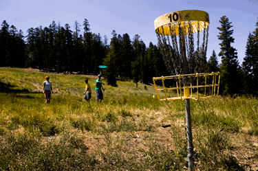 Tahoe Cabins on Lake Tahoe Disc Golf   The Best South Lake Tahoe Vacation Rentals