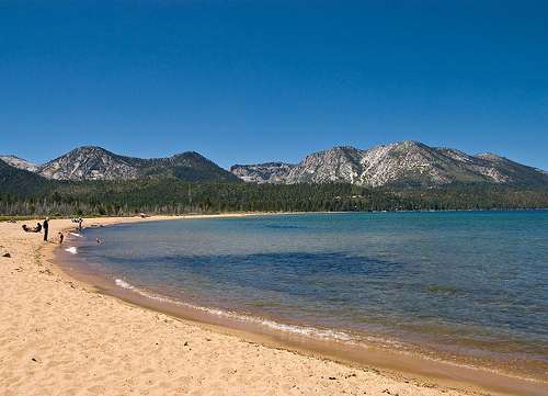 Lake Tahoe Dog Parks & Dog Friendly Beaches