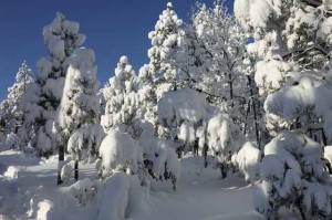 Lake Tahoe Winter Weather Advisory 