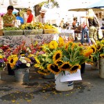 Produce at the South Lake Tahoe Summer Farmers Market