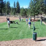 South Lake Tahoe Bijou Dog Park - Pet Friendly